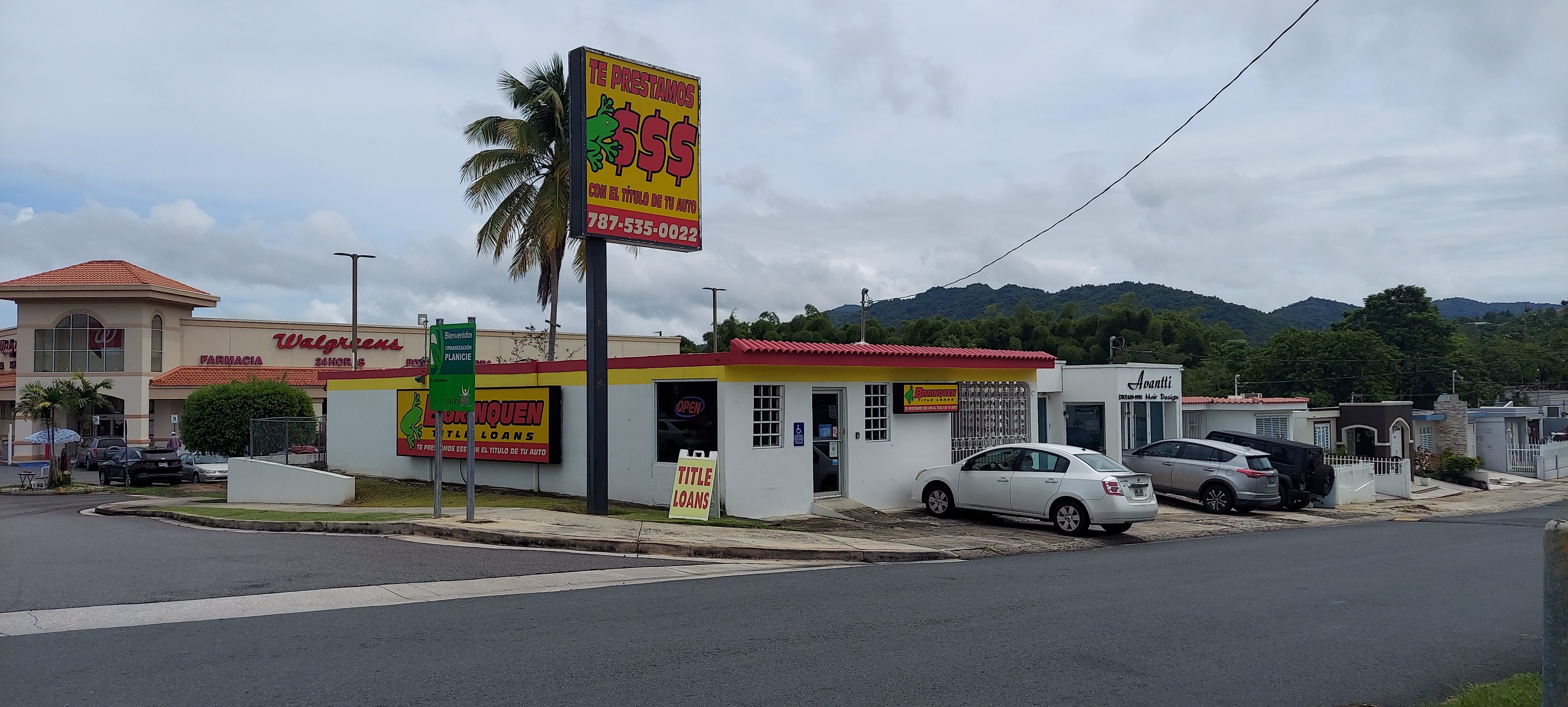 Rd 1 C-3 Urb Planice, Cayey